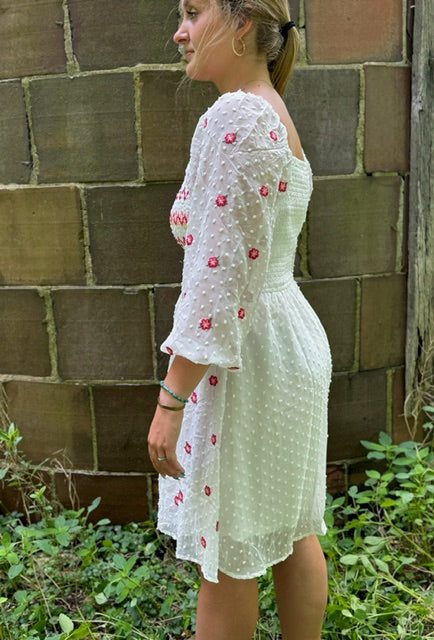 Sadie Embroidered Dress